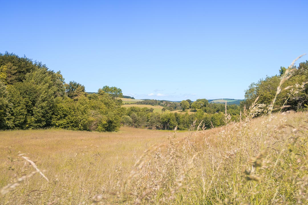 Wandern Eifel