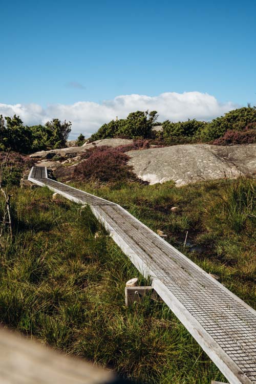 Wandern in Schweden im Naturreservat Ramsvikslandet